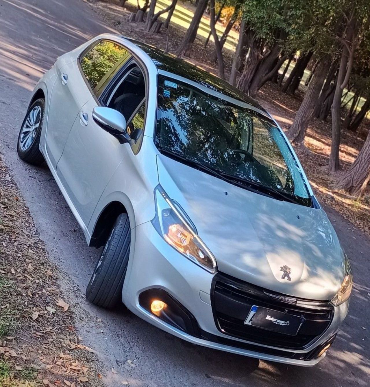 Peugeot 208 Usado en Mendoza, deRuedas