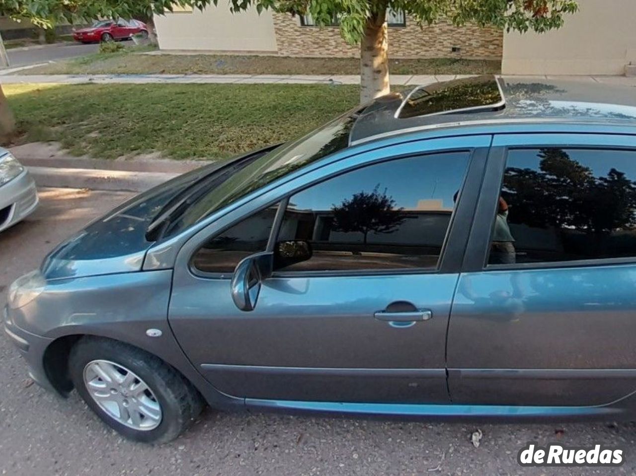 Peugeot 307 Usado en Mendoza, deRuedas