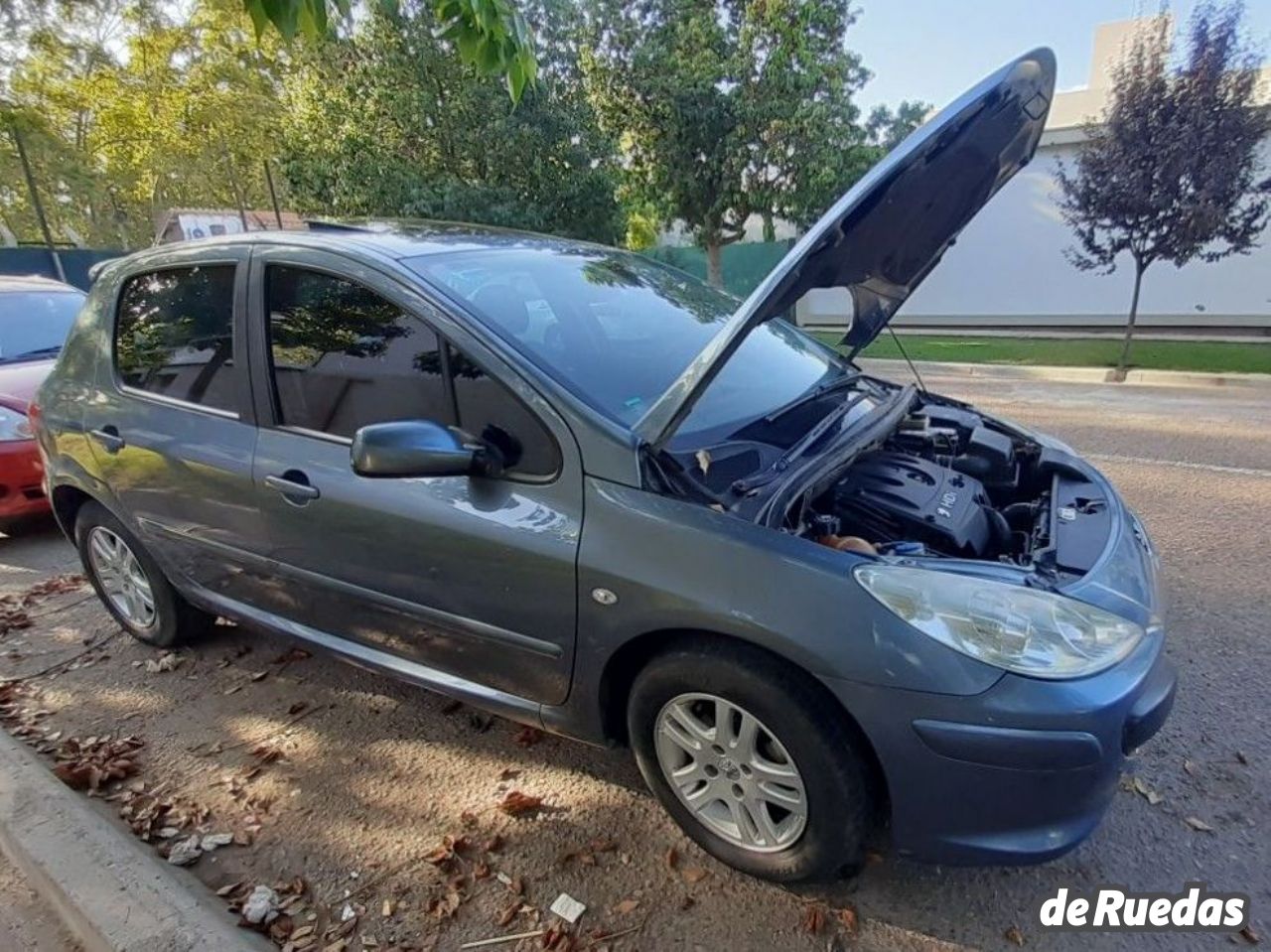 Peugeot 307 Usado en Mendoza, deRuedas