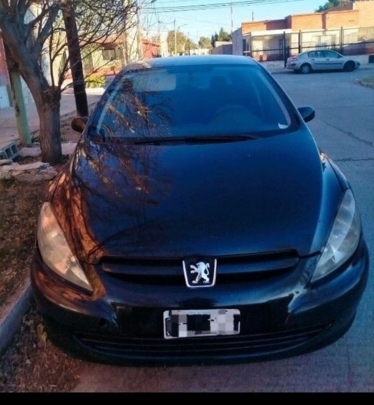 Peugeot 307 Usado en San Luis, deRuedas