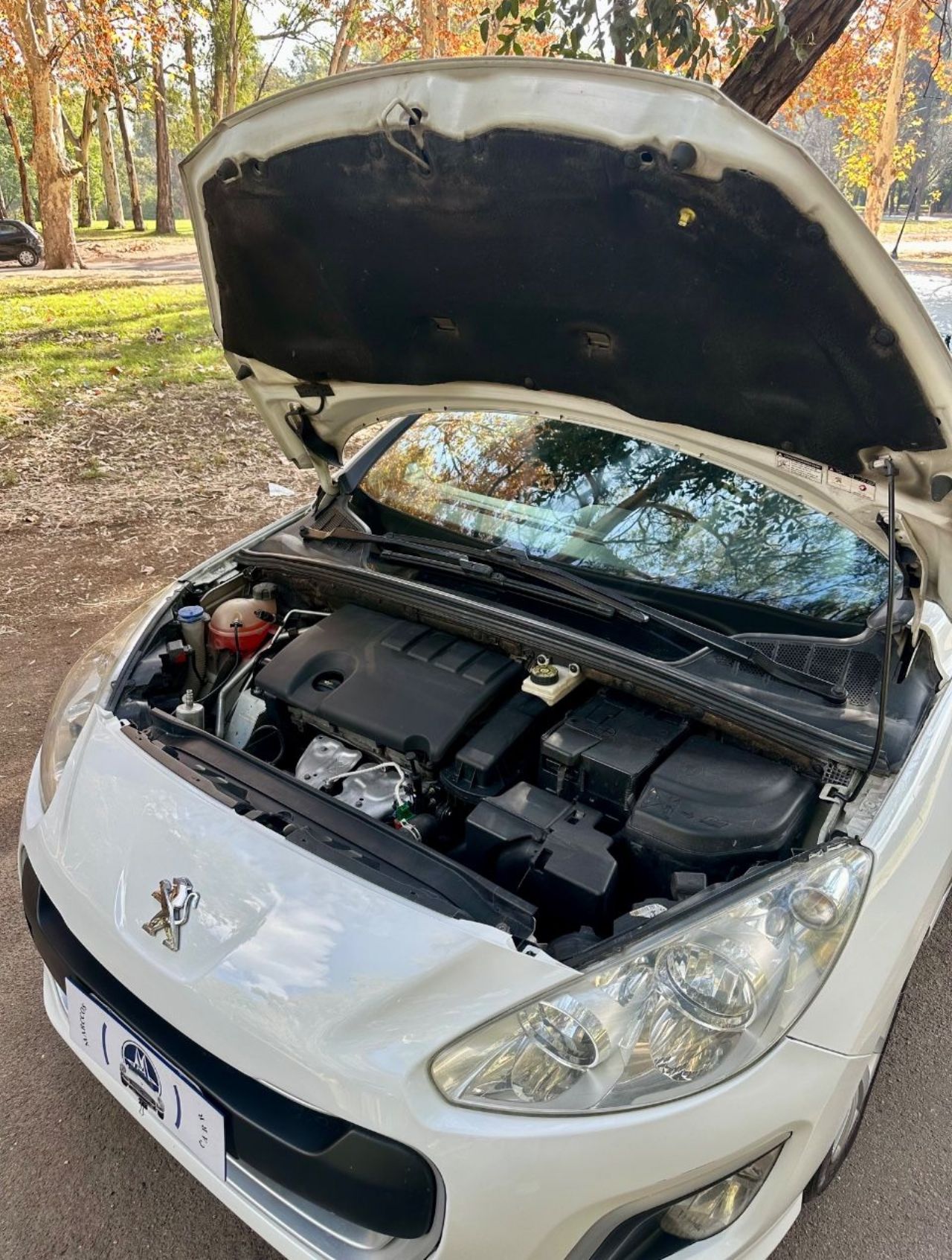 Peugeot 308 Usado en Mendoza, deRuedas