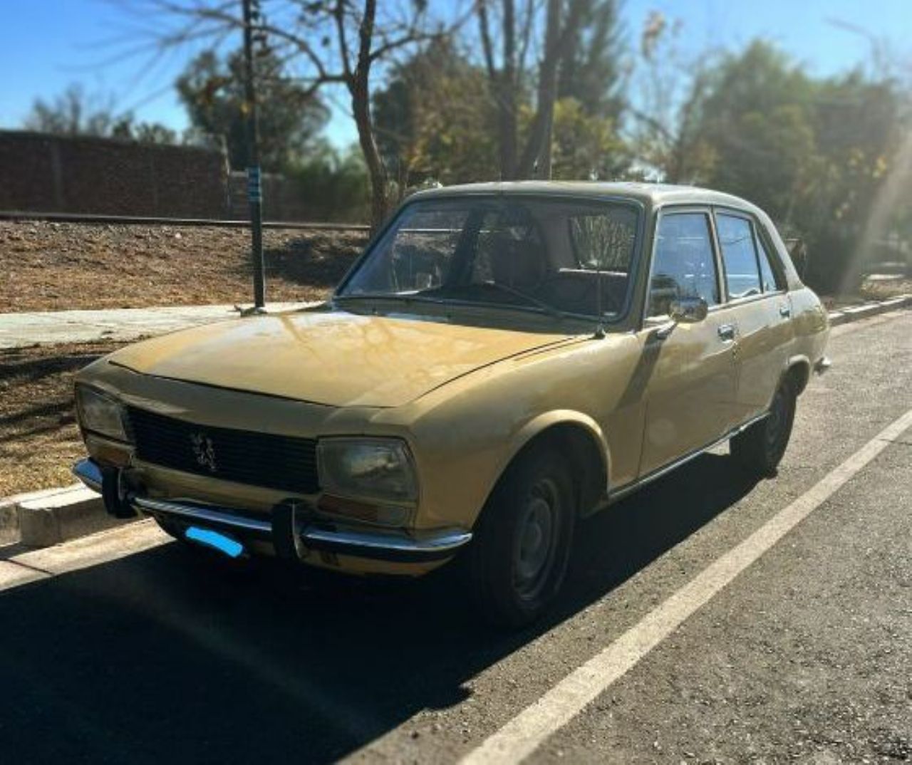 Peugeot 504 Usado en Mendoza, deRuedas
