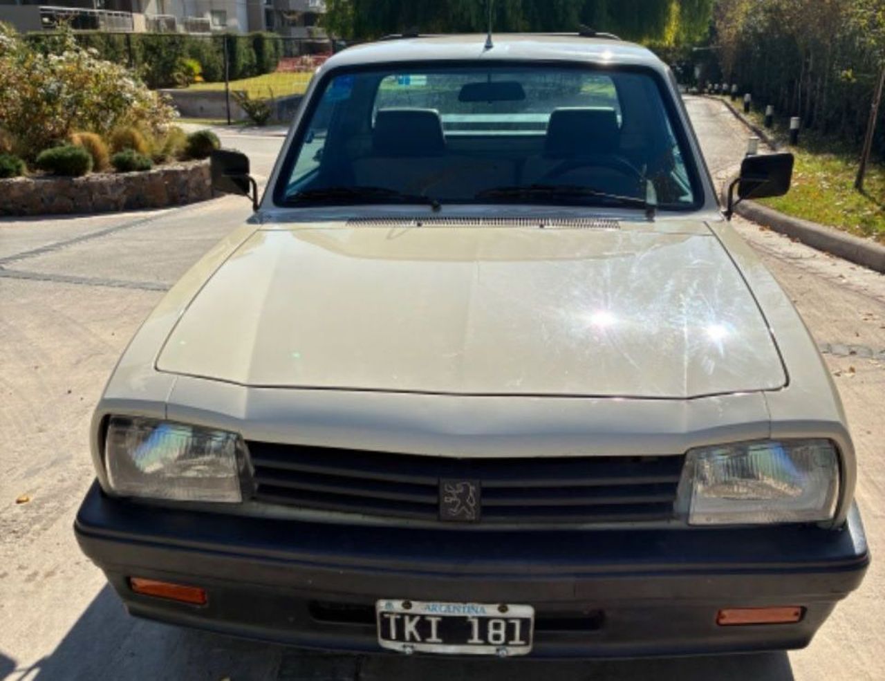Peugeot 504 Pick-Up Usada en Mendoza, deRuedas