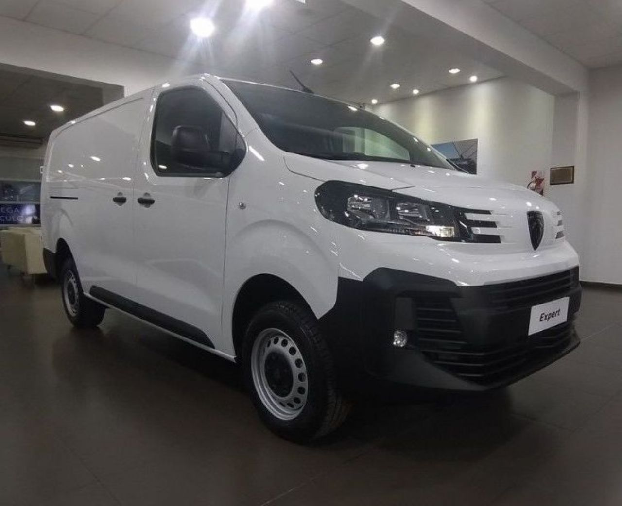 Peugeot Expert Nueva en Mendoza, deRuedas