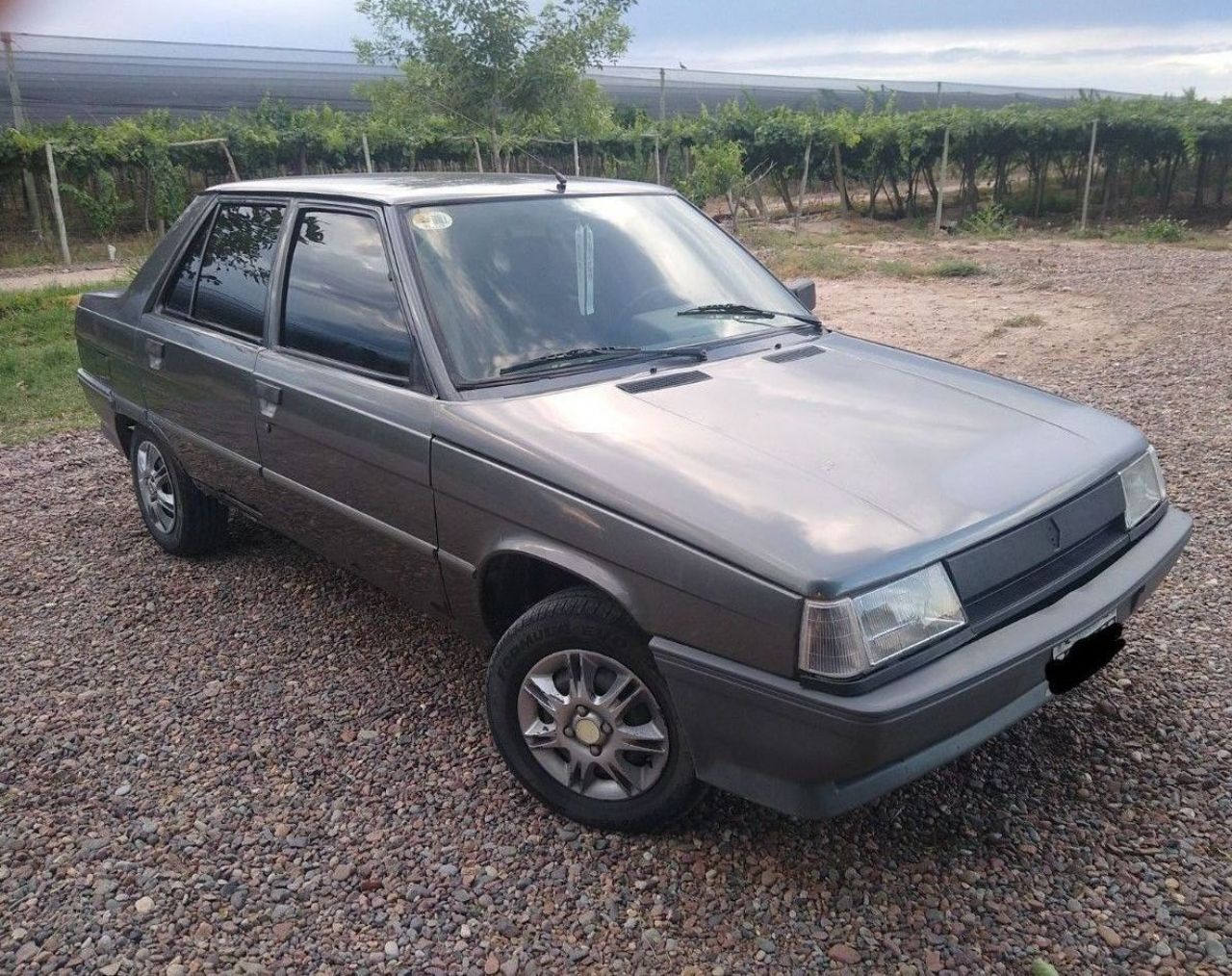 Renault 9 Usado en Mendoza, deRuedas
