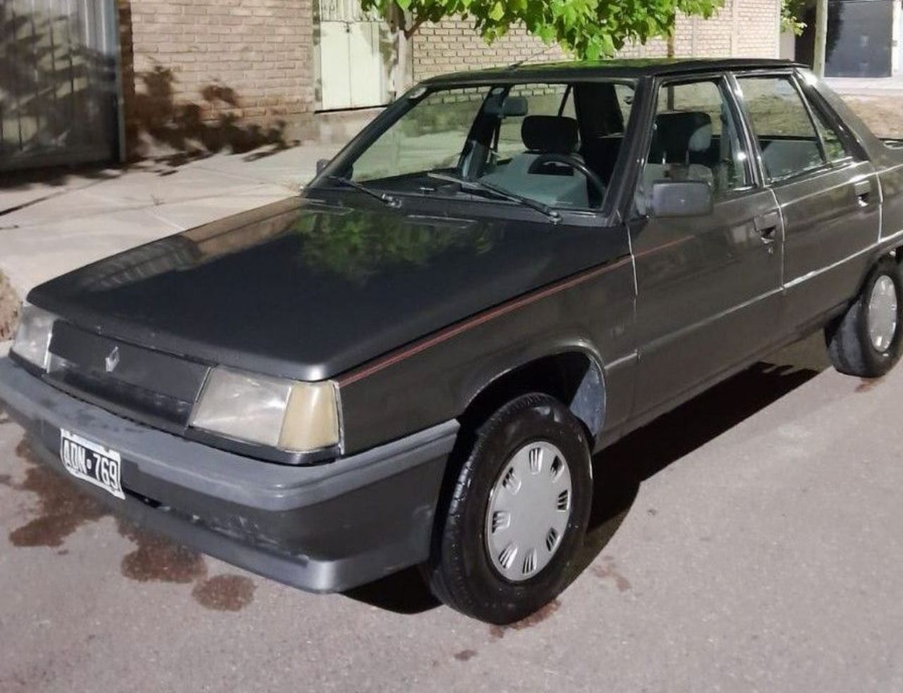 Renault 9 Usado en Mendoza, deRuedas