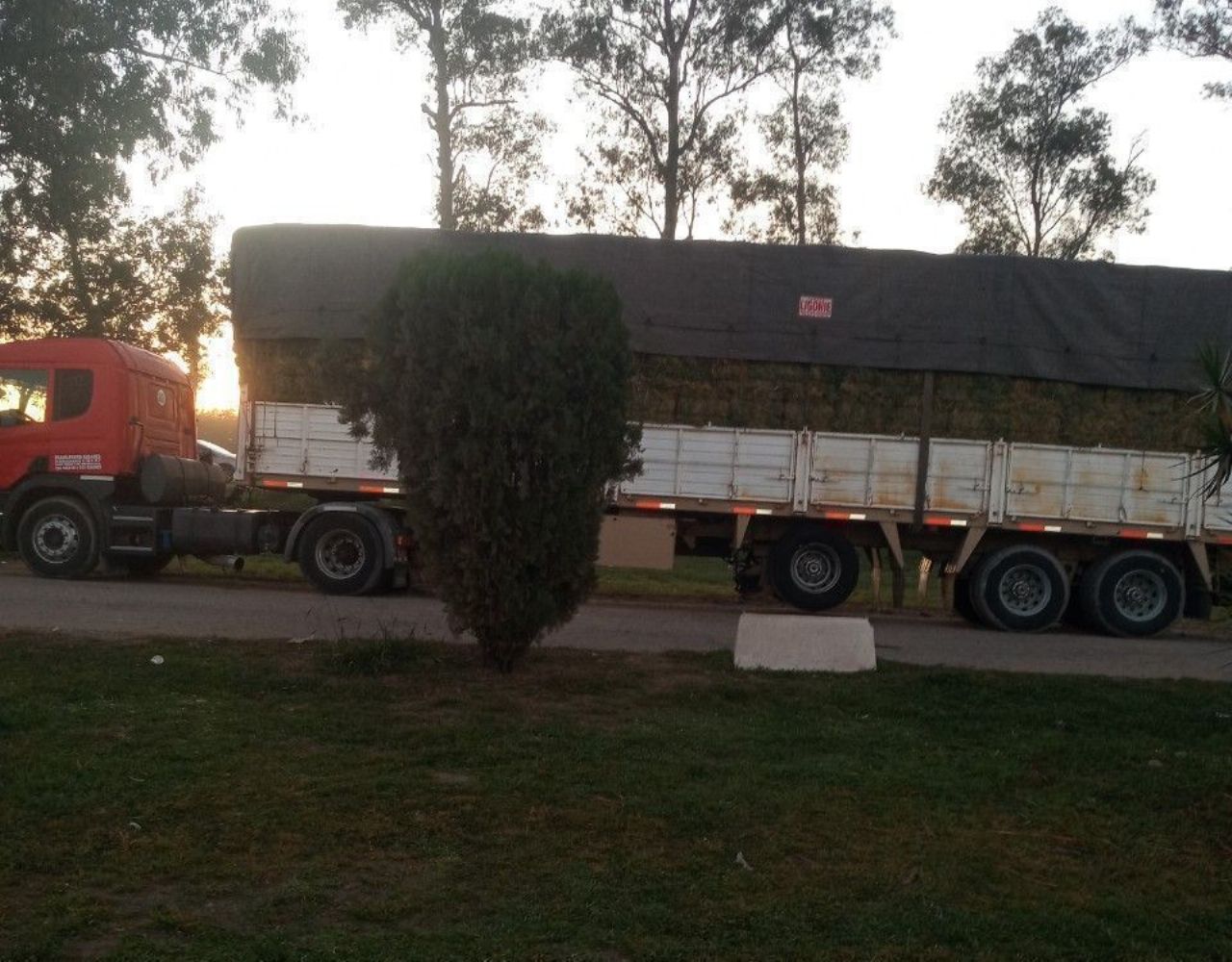 Scania P Usado en Mendoza, deRuedas
