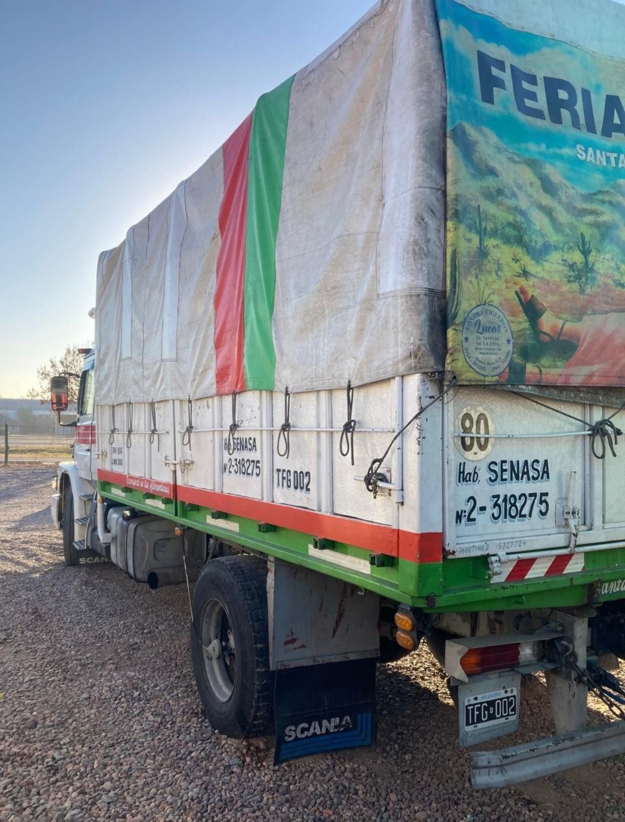 Scania T Usado en Mendoza, deRuedas