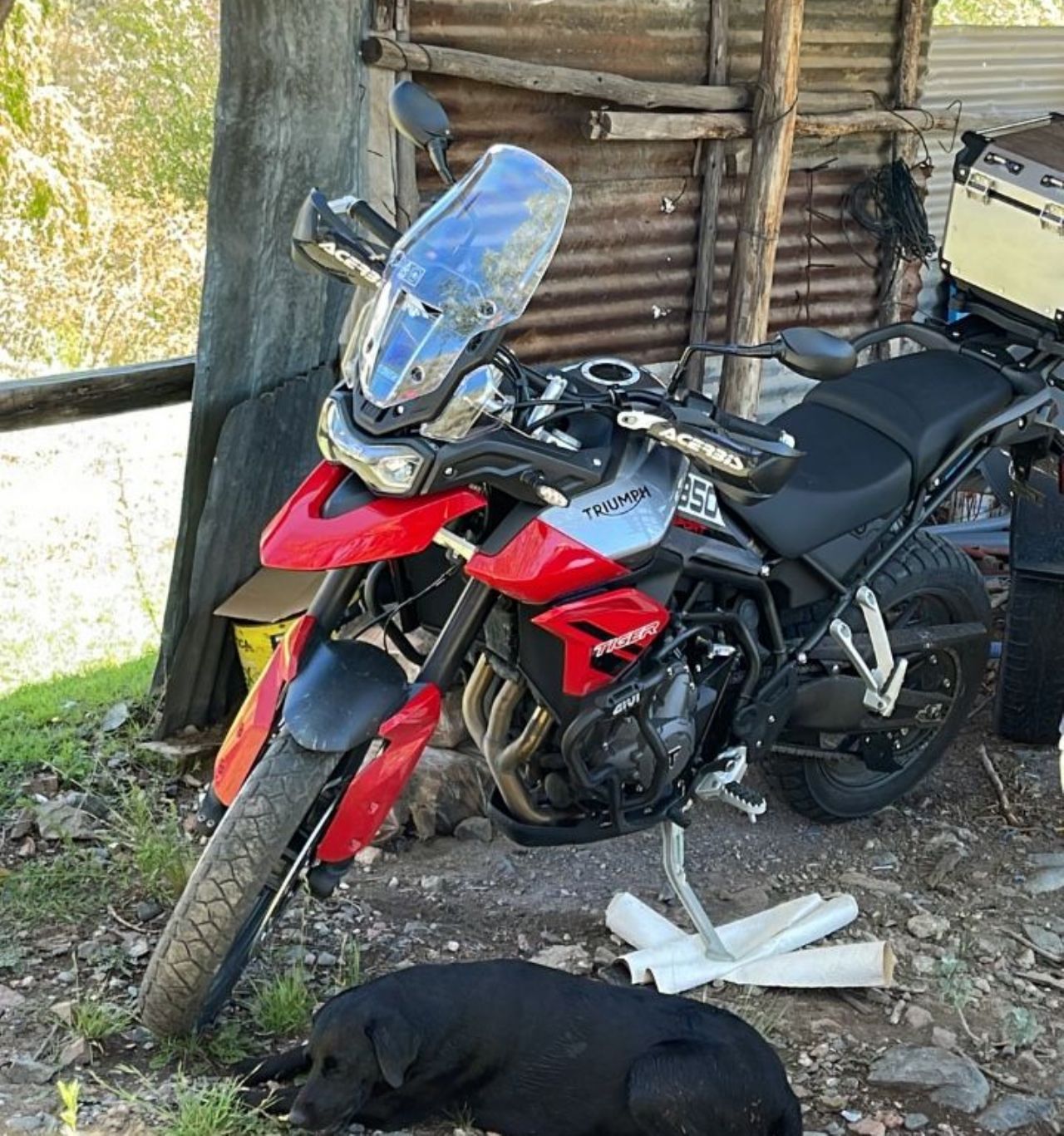 Triumph Tiger Usada en Mendoza, deRuedas
