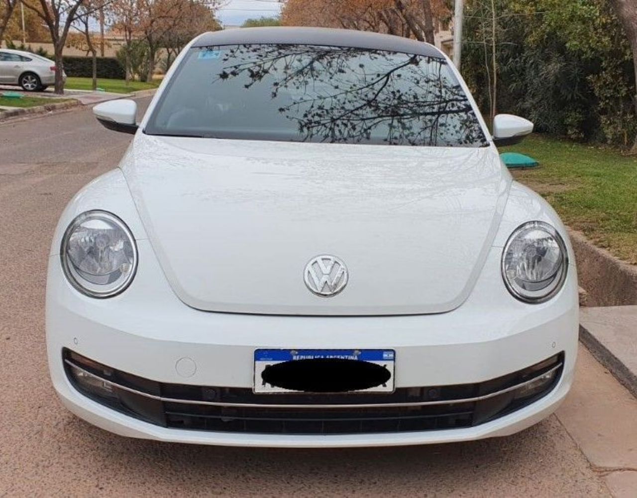 Volkswagen The Beetle Usado en Mendoza, deRuedas