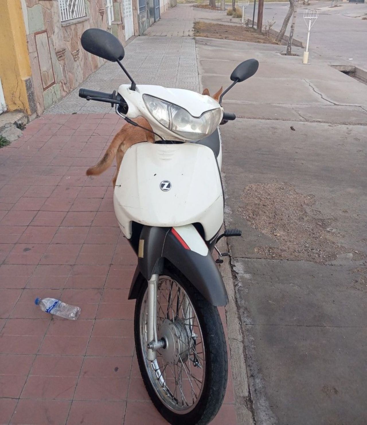 Zanella ZB Usada en Mendoza, deRuedas