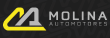 Molina Automotores