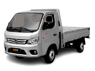 Foton Aumark